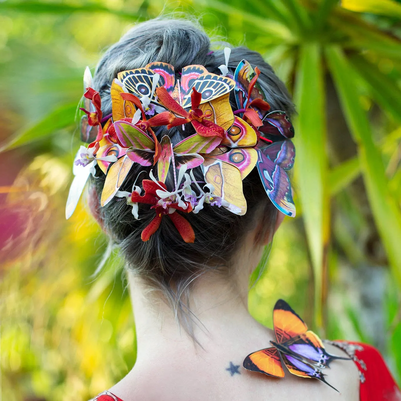 'Amber' Atlas Moth Set