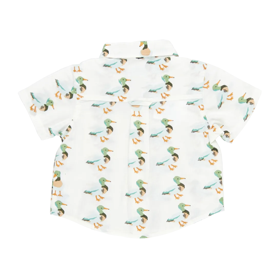 Baby Boys Jack Shirt - Mallard Friends