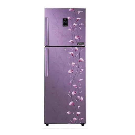 SAMSUNG RT27JSMSASZ Top Mount Freezer 253 L DOUBLE DOOR REFRIGERATOR